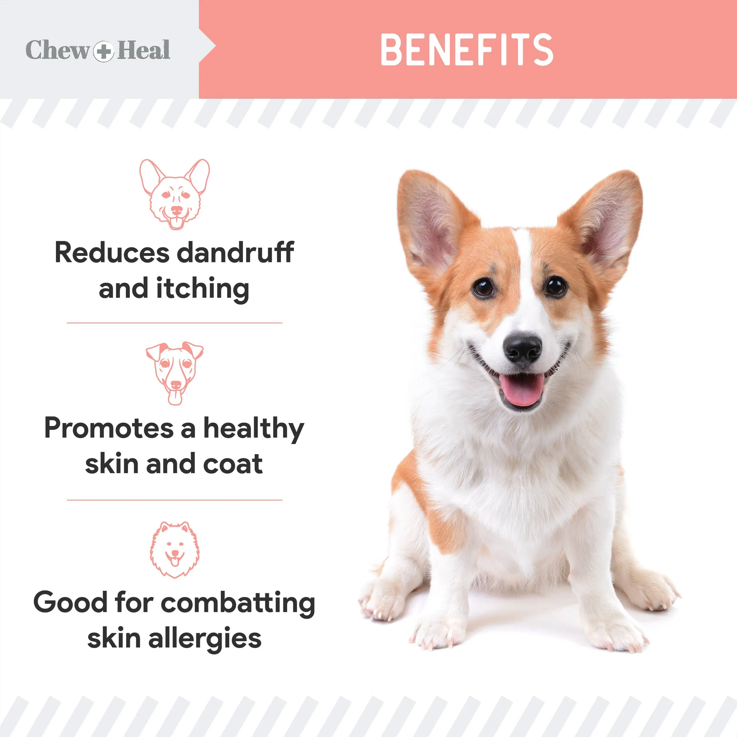 Chew   Heal Single-Ingredient Wild Alaskan Salmon Oil