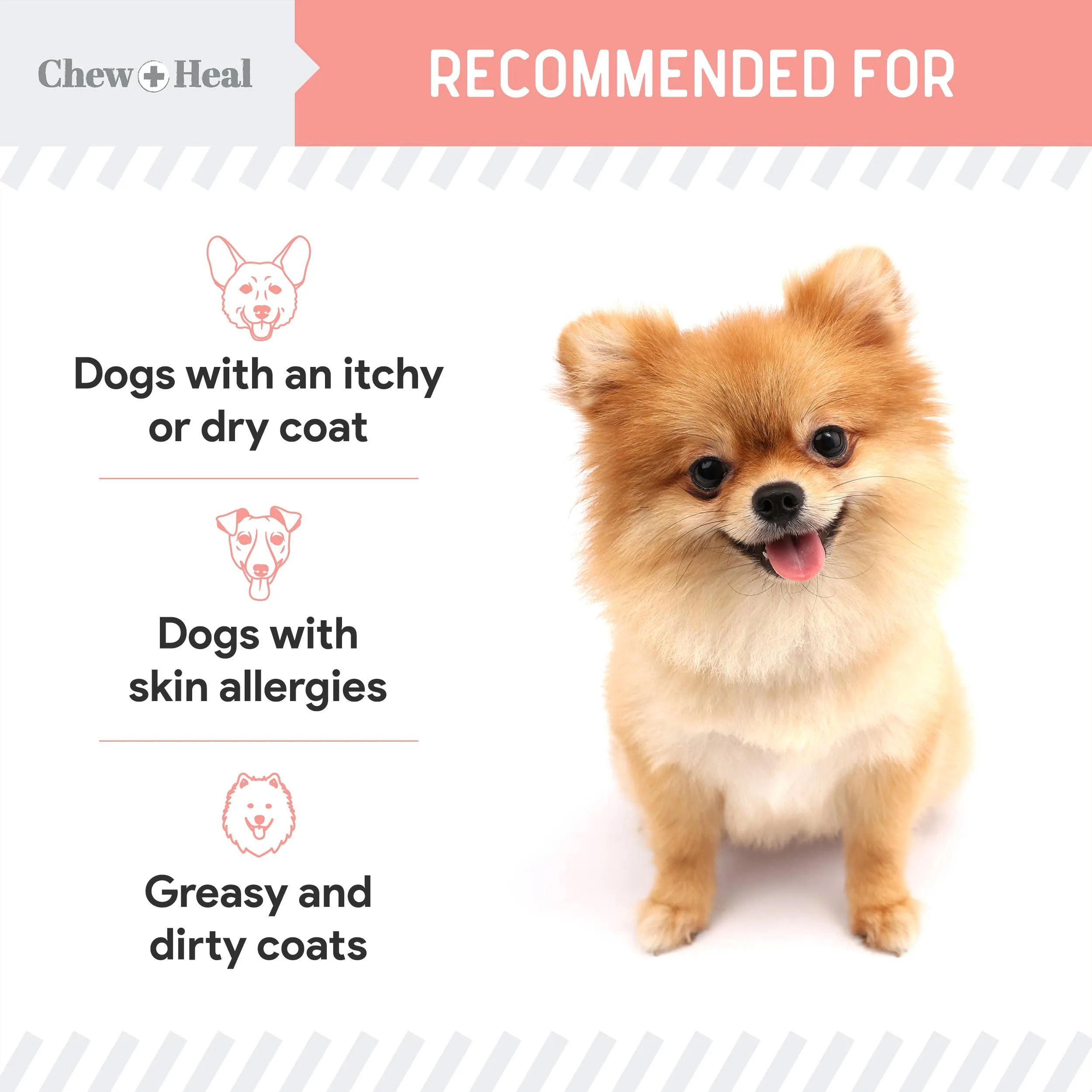 Chew   Heal Single-Ingredient Wild Alaskan Salmon Oil