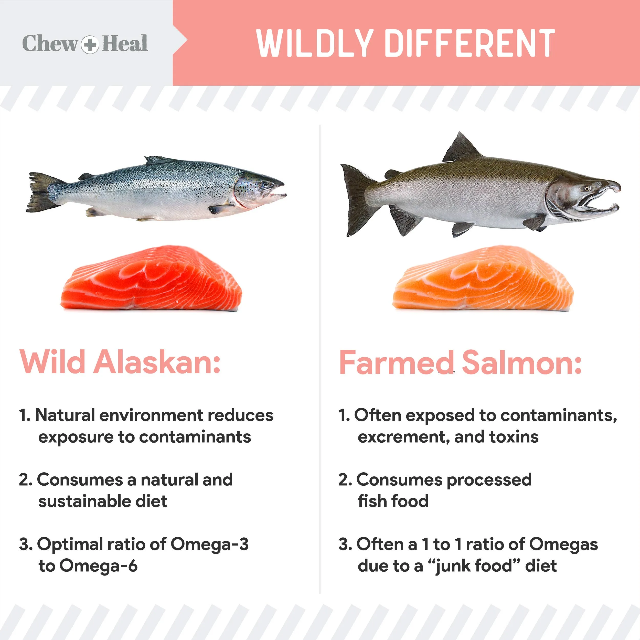 Chew   Heal Single-Ingredient Wild Alaskan Salmon Oil