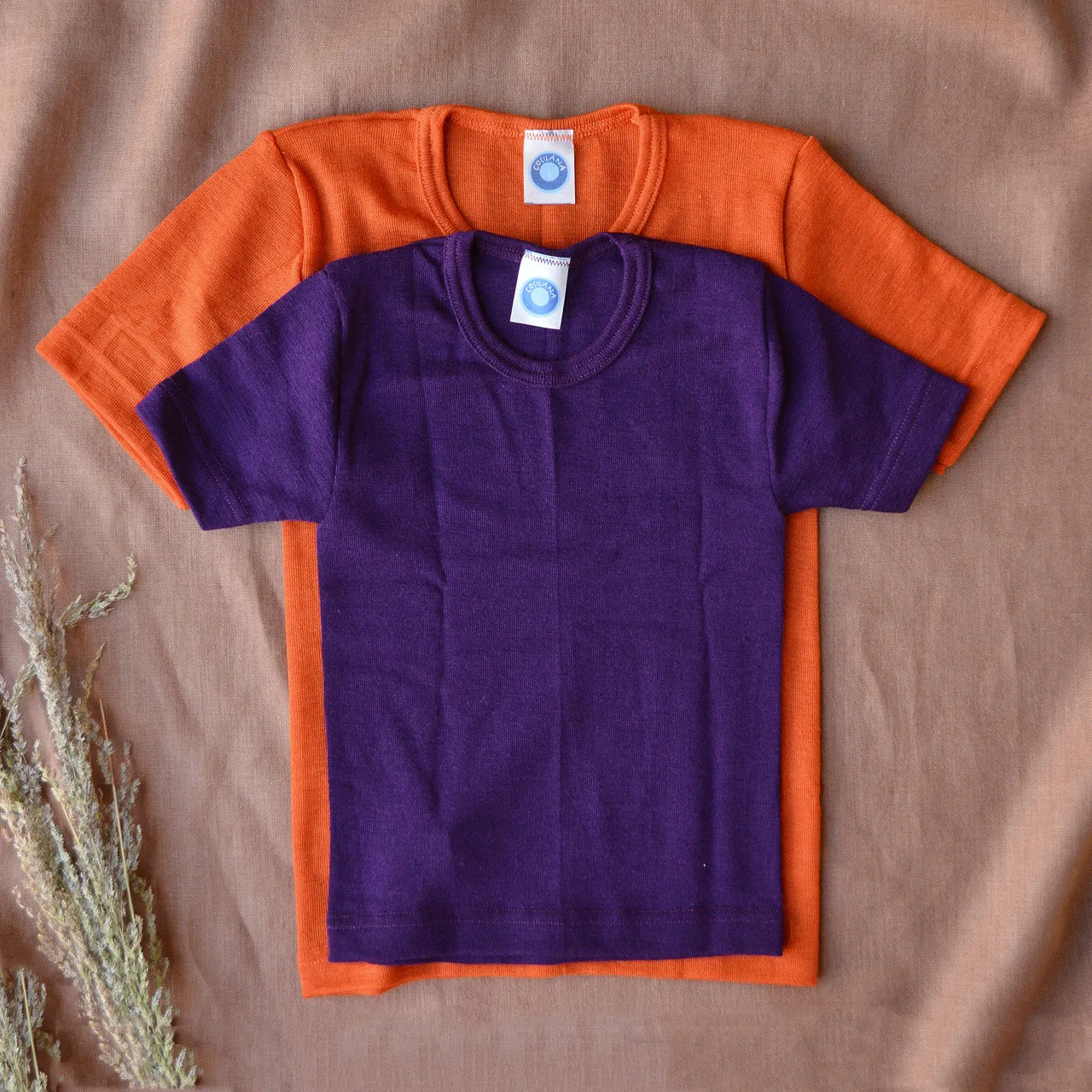 Child's T-Shirt - Organic Merino/Silk (1-12y)