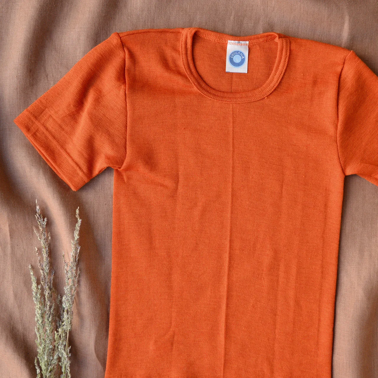 Child's T-Shirt - Organic Merino/Silk (1-12y)