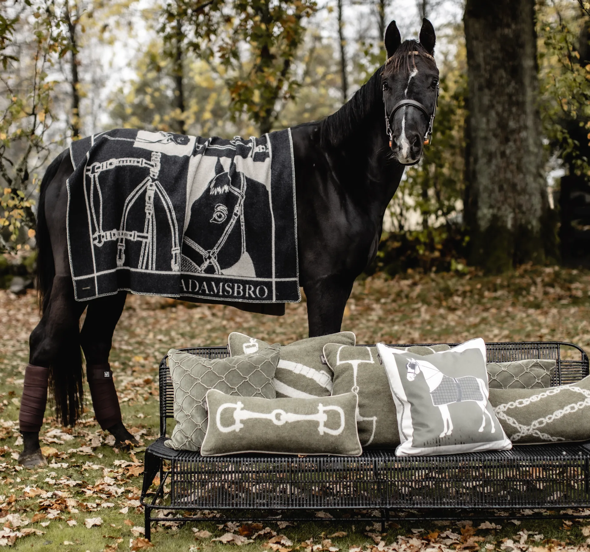 Merino Luxe Heritage Throw Black