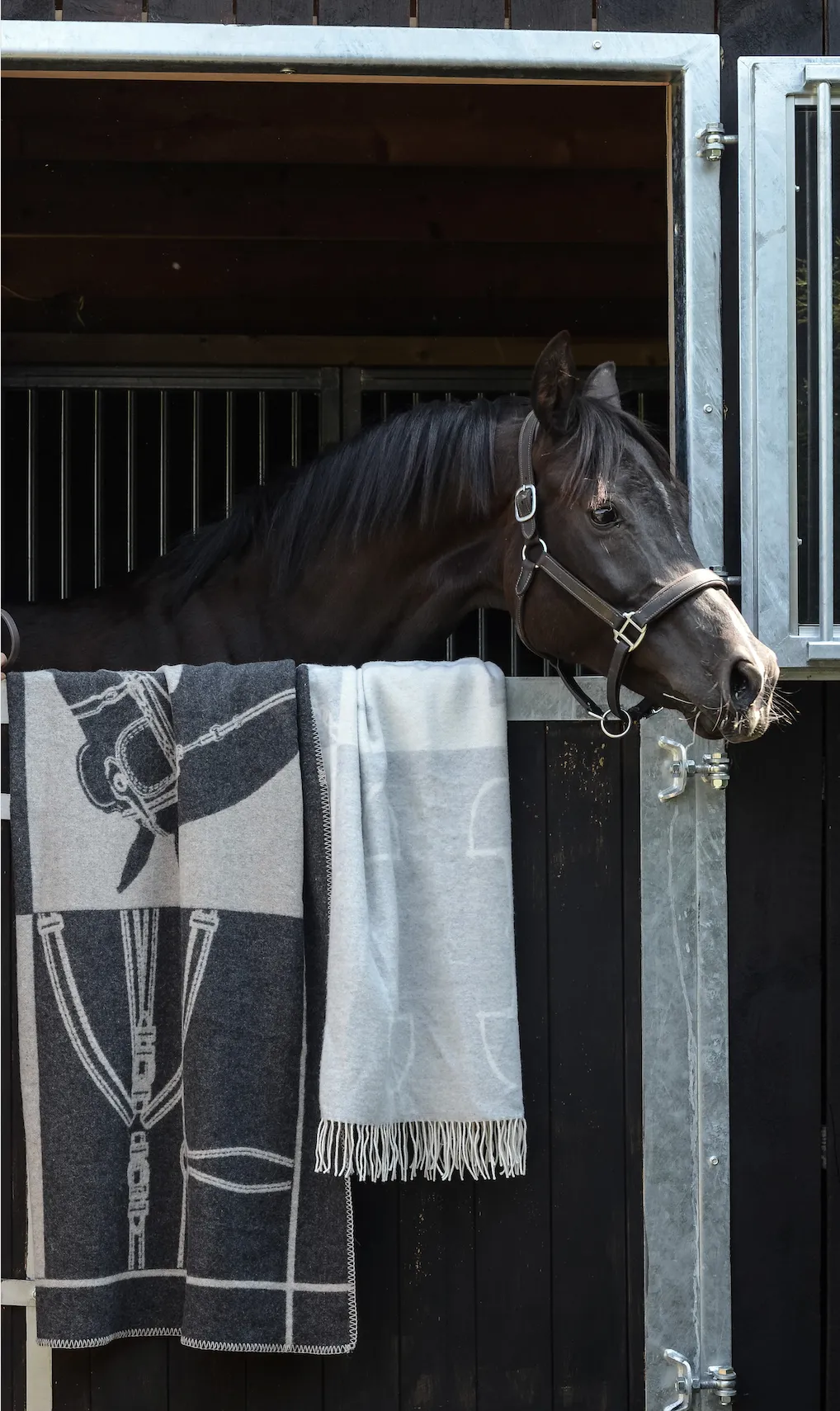 Merino Luxe Heritage Throw Black