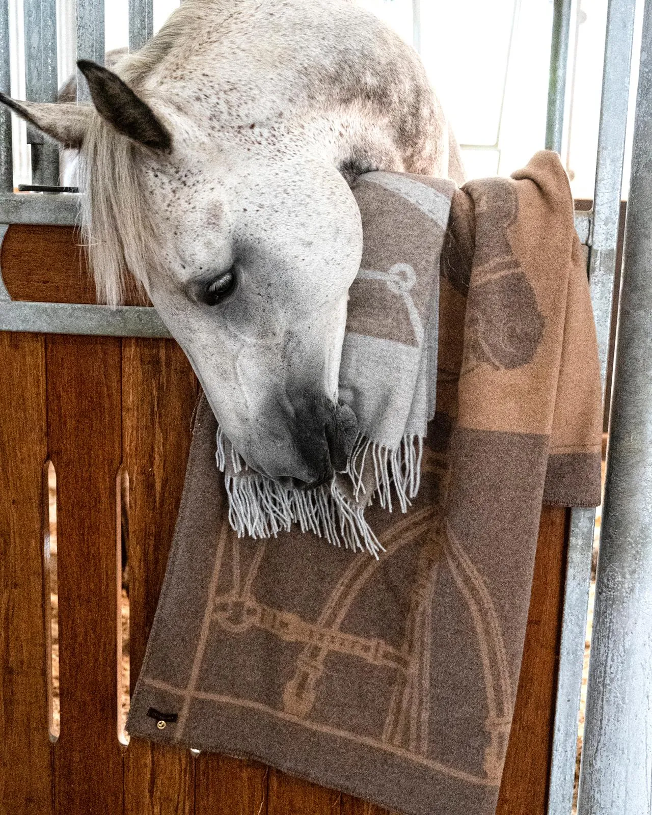 Merino Luxe Heritage Throw Brown