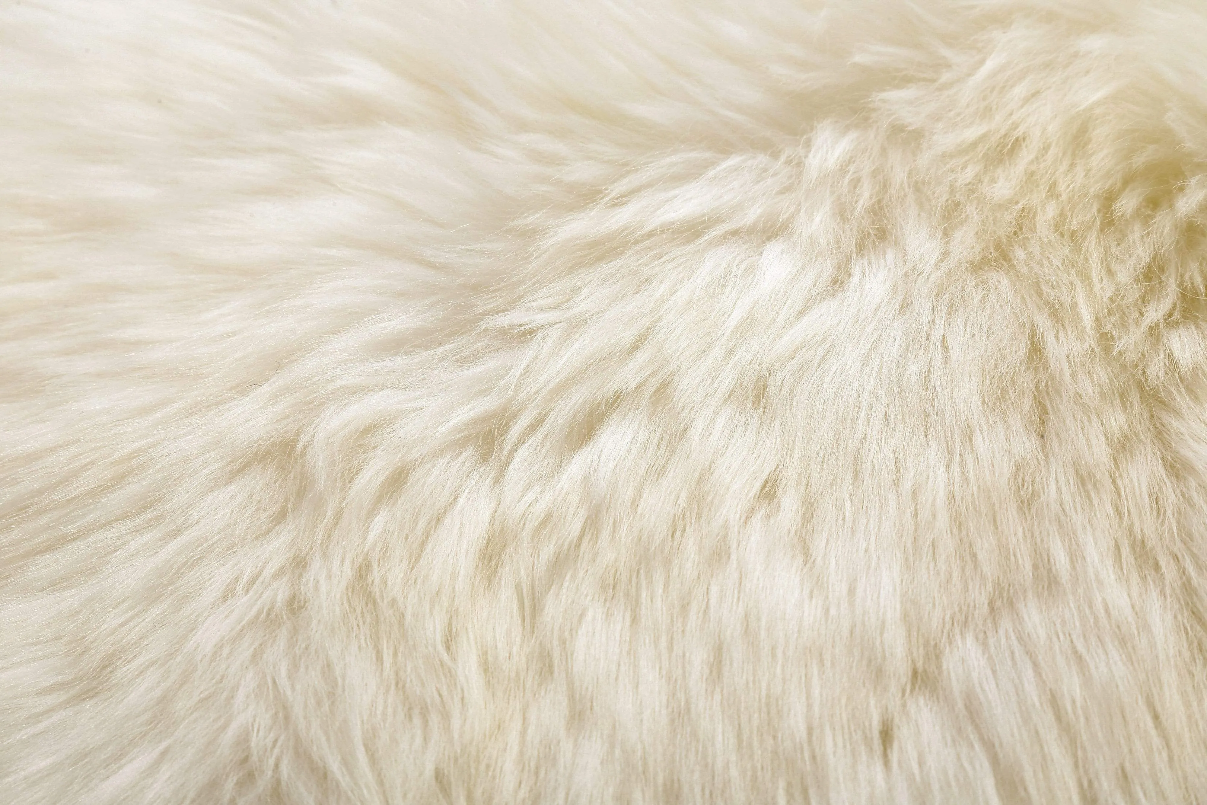 Premium Australian Sheepskin Single Long Wool Rug 185cm