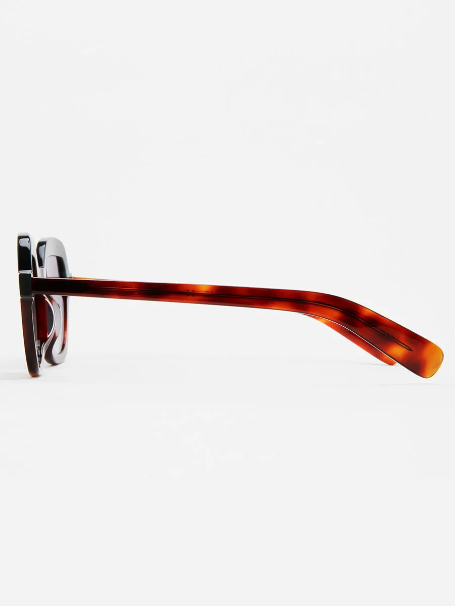 Webb 5 sunglasses